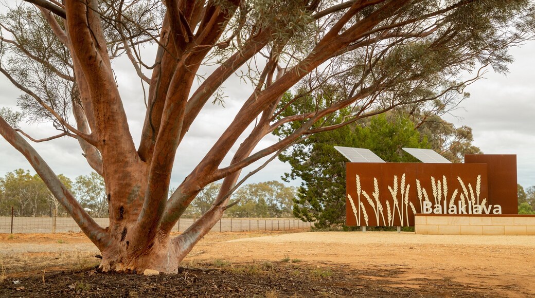 Région de Wakefield