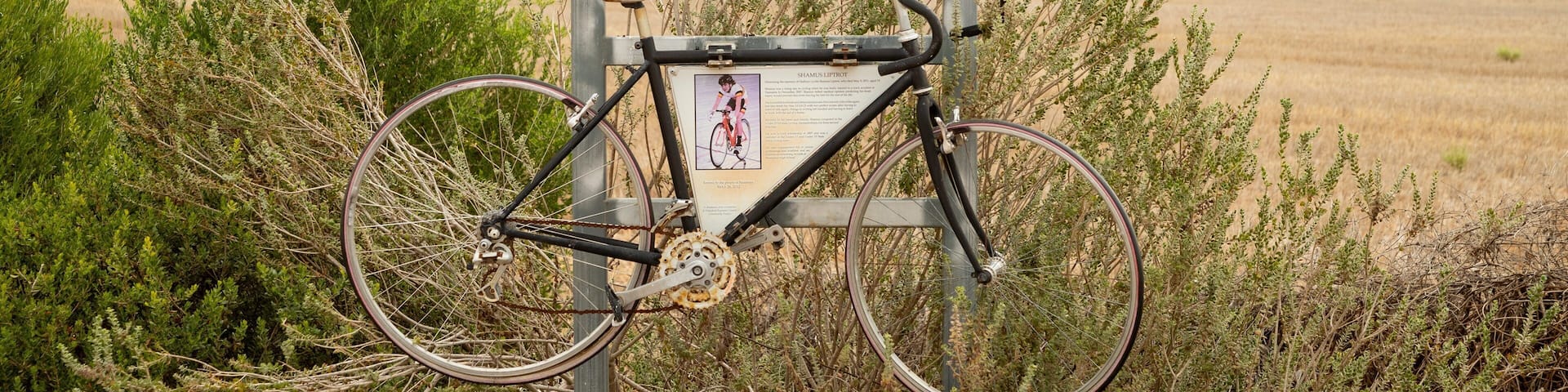 Balaklava featuring tranquil scenes and signage