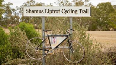 Placa indicando a Trilha Ciclística Shamus Liptot, com uma bicicleta presa em um suporte.
