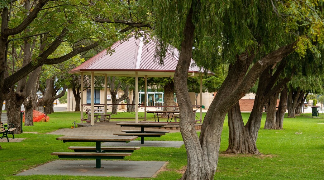 Balaklava featuring a garden
