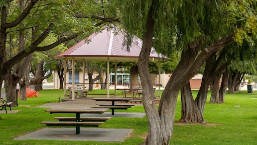 Balaklava featuring a garden
