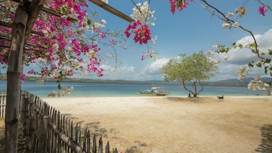 Fine beaches, turquoise blue waters and no crowds makes the beautiful island of Suguicay in Bulalacao, Mindoro Oriental a perfect getaway.