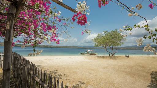 Fine beaches, turquoise blue waters and no crowds makes the beautiful island of Suguicay in Bulalacao, Mindoro Oriental a perfect getaway.