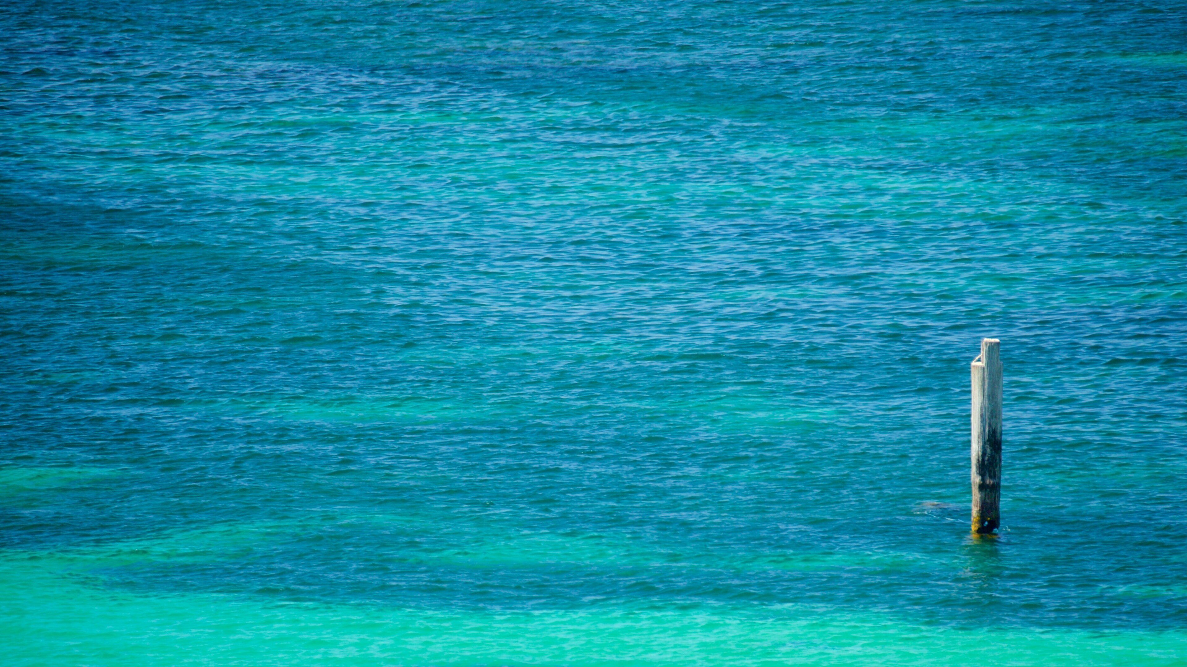 Karridale showing general coastal views