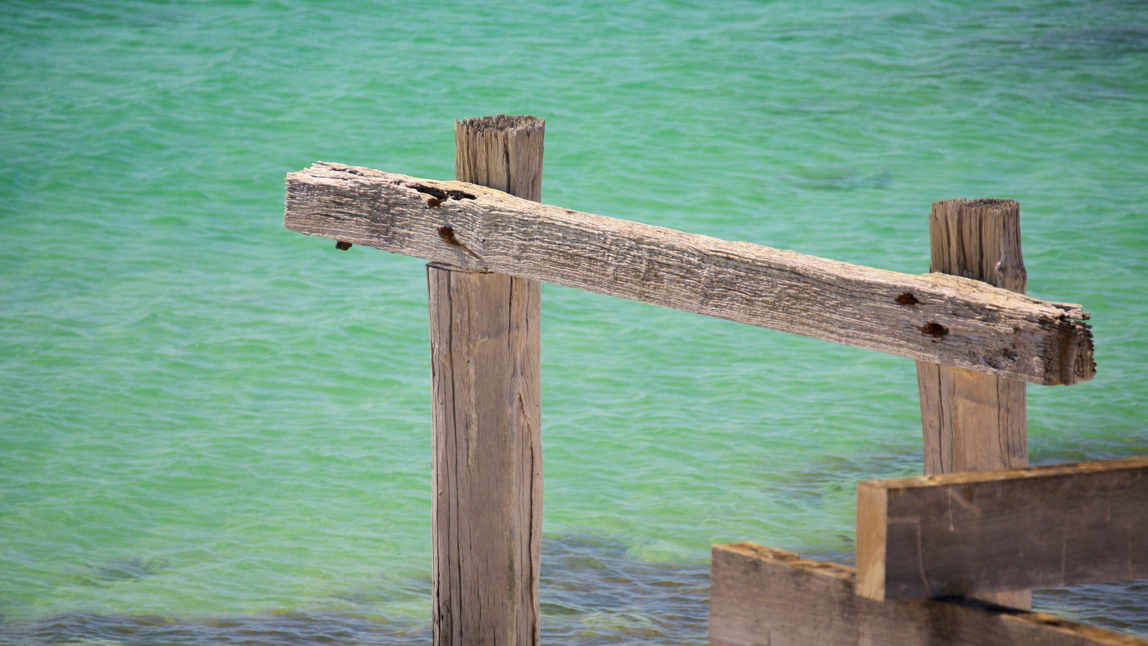 Karridale featuring general coastal views