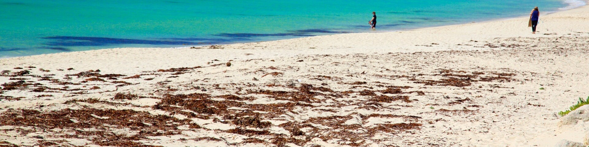 Karridale which includes a beach and a bay or harbor