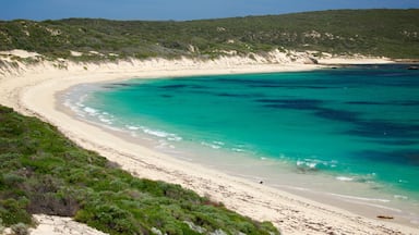 Karridale que incluye una playa de arena, una bahía o un puerto y vistas de una costa