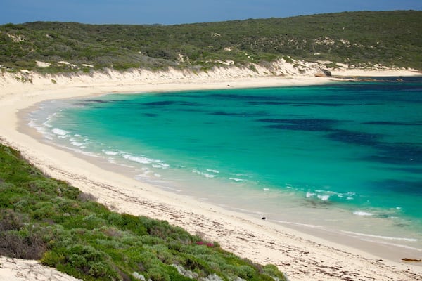 Karridale showing general coastal views, a sandy beach and a bay or harbour