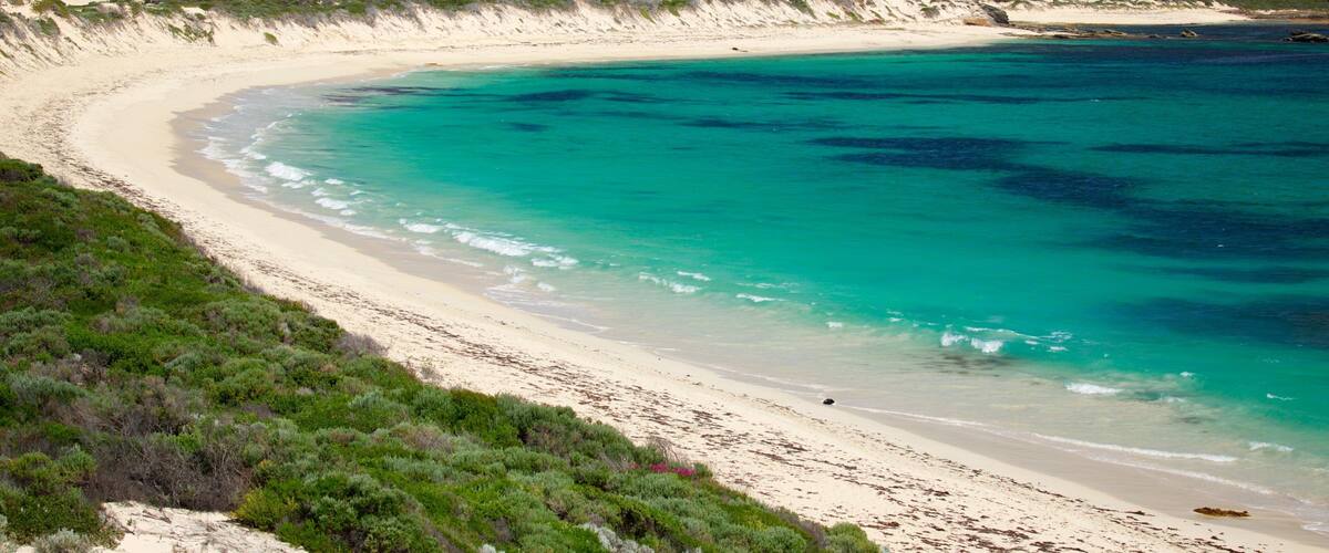 A curved sandy beach with turquoise waters and green vegetation.