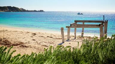 Karridale which includes a beach, a bay or harbour and general coastal views