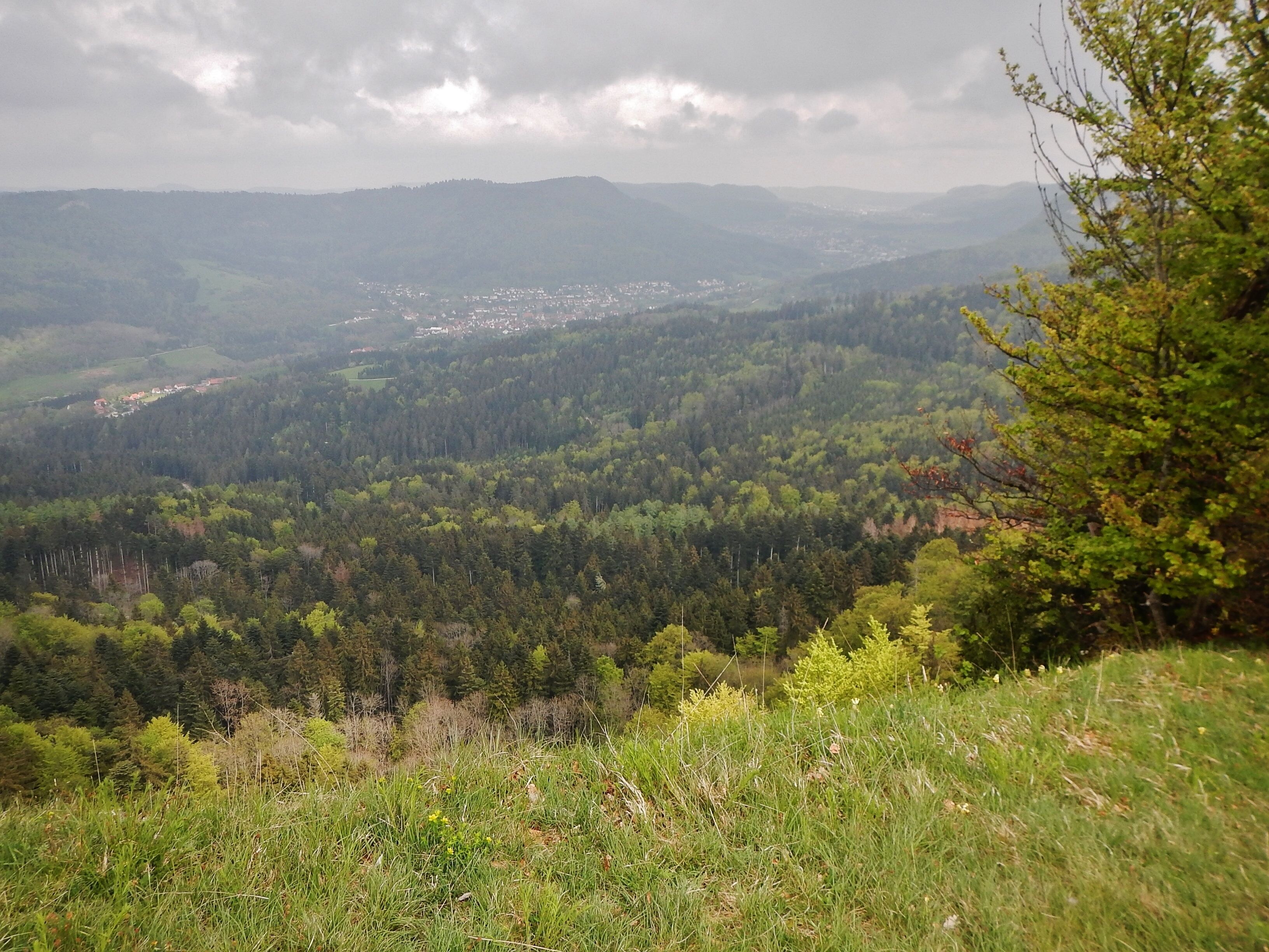 Ausblick vom Albtraufgängerweg beim Hörnle 956 m ü. NN