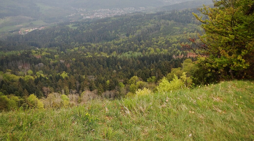 Ausblick vom Albtraufgängerweg beim Hörnle 956 m ü. NN