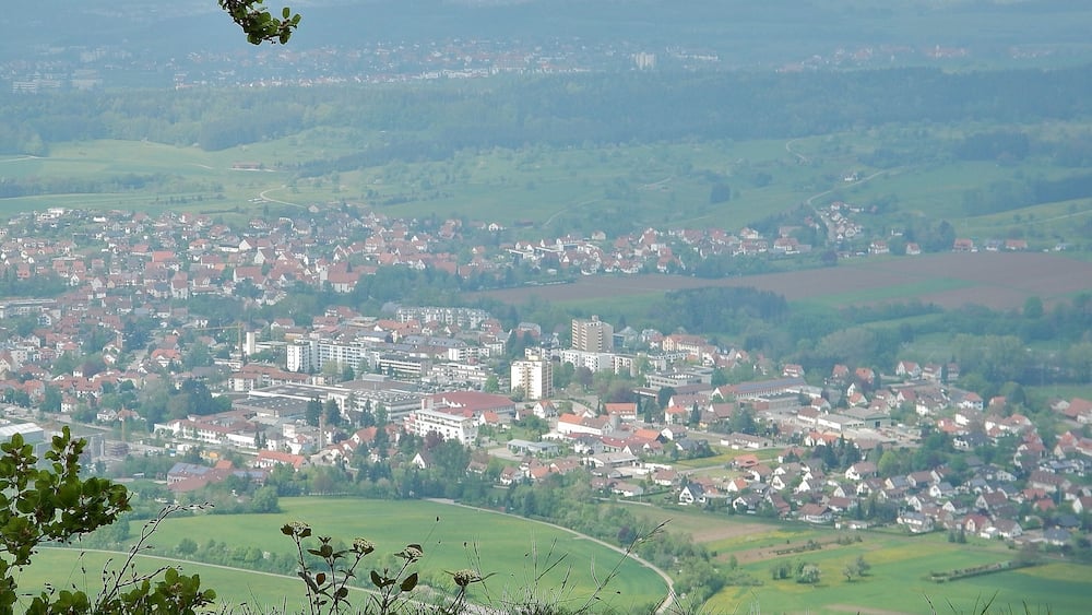 A town with red-roofed houses, green fields, and a river.