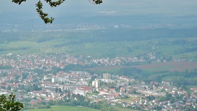 Ausblick vom Albtraufgängerweg beim Hörnle 956 m ü. NN