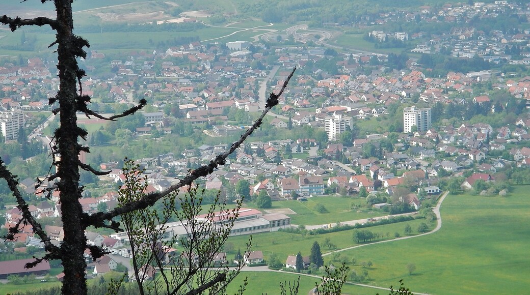 Ausblick vom Albtraufgängerweg beim Hörnle 956 m ü. NN Richtung Balingen
