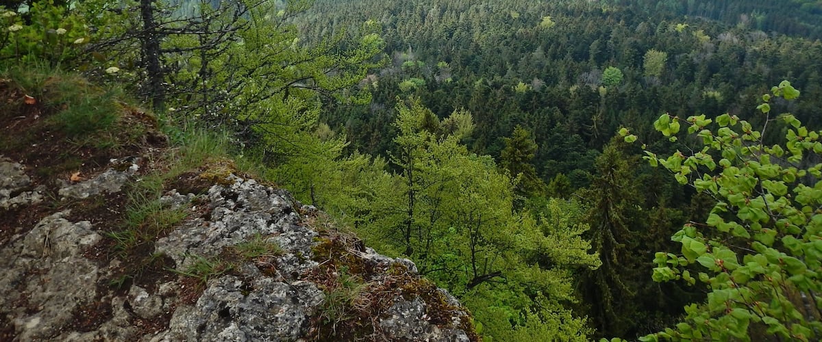 Ausblick vom Albtraufgängerweg beim Hörnle 956 m ü. NN