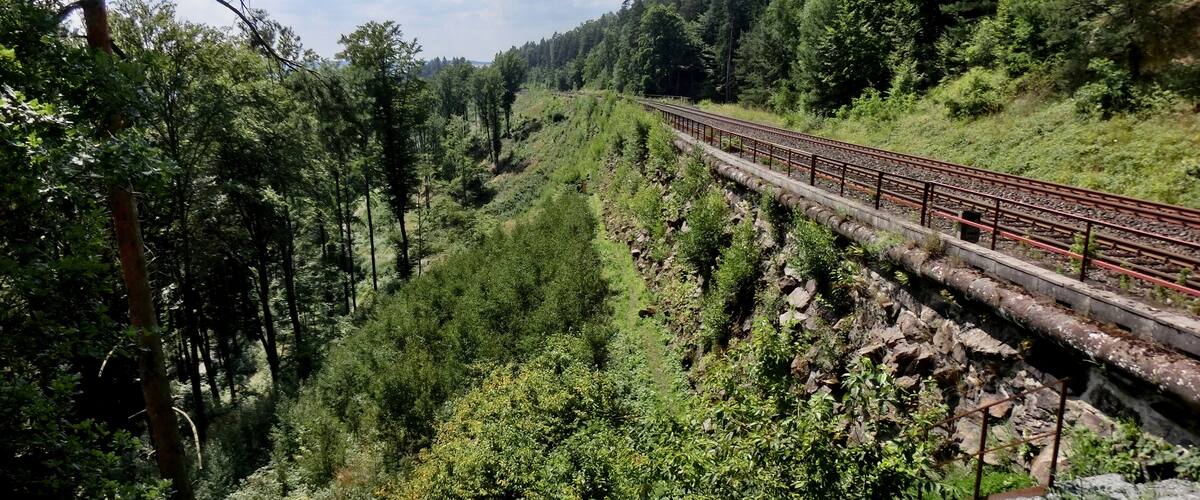 A railway track through a forested valley with dense trees and rocky terrain.