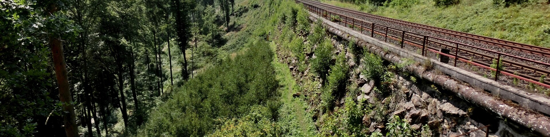A railway track through a forested valley with dense trees and rocky terrain.