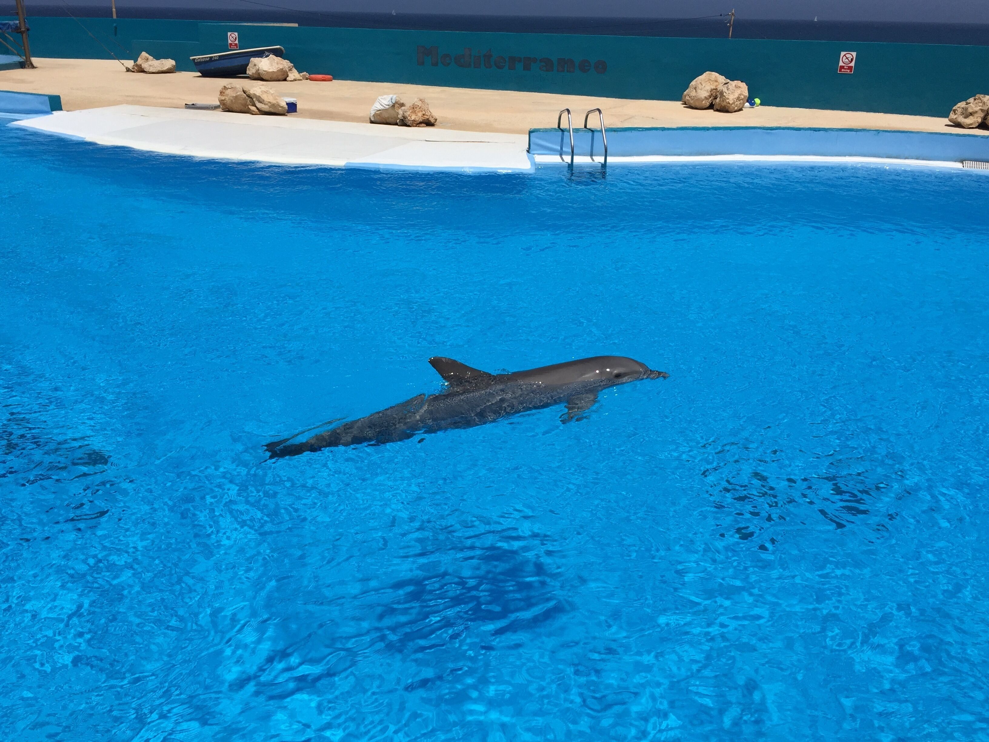 Mediterraneo Marine Park