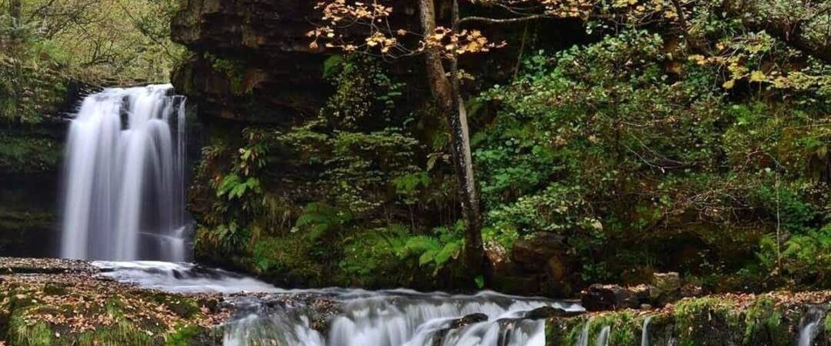 A waterfall cascading over a moss-covered rock ledge surrounded by dense forest.