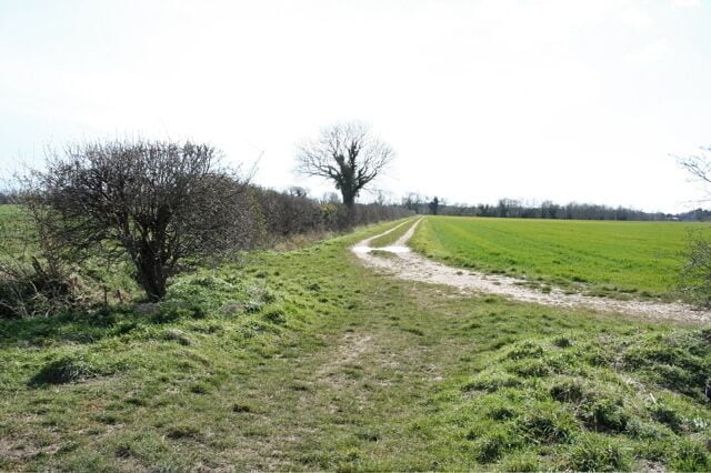 Field track heading towards the Cam Facing south west between the rugby club and the river Cam