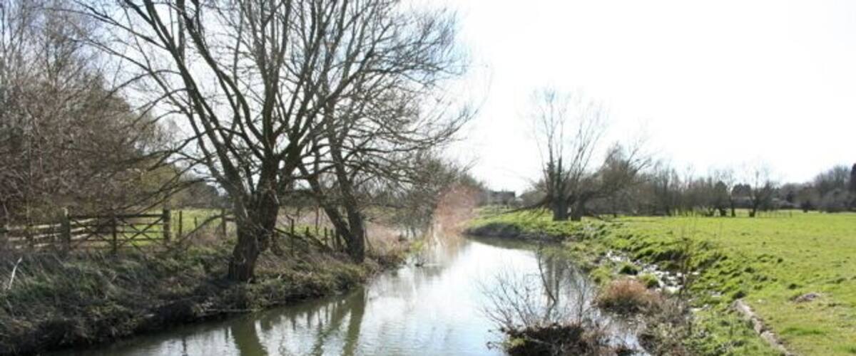 A narrow waterway with leafless trees and a grassy field on one side.