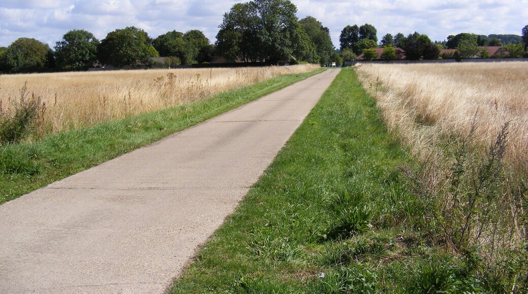The Entrance Drive to Shelford Rugby Club