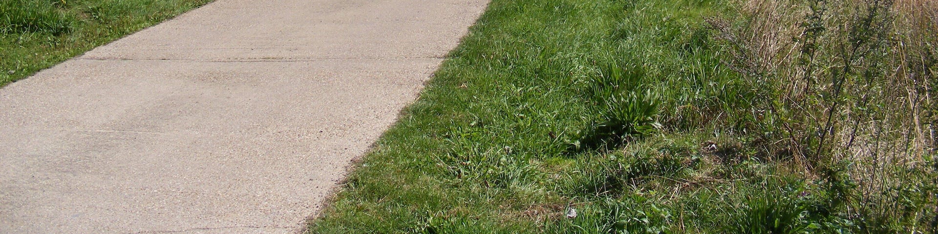 The Entrance Drive to Shelford Rugby Club