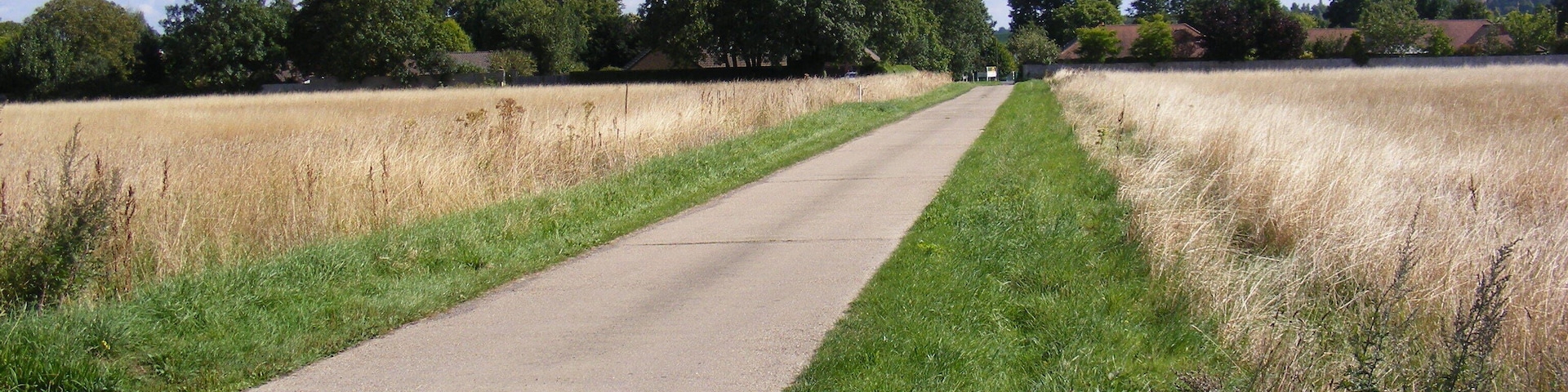The Entrance Drive to Shelford Rugby Club