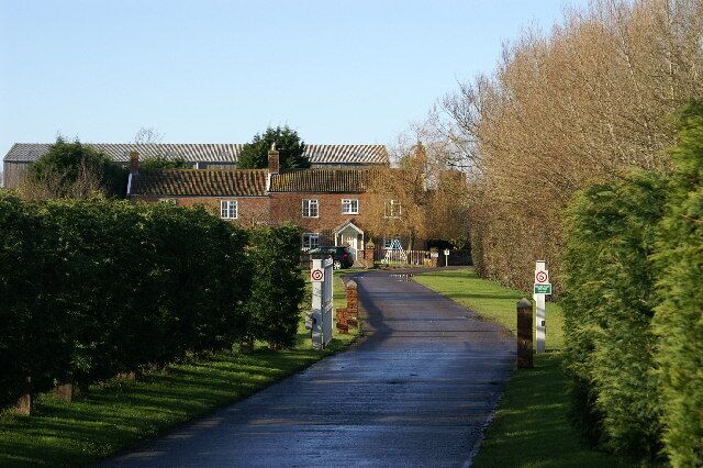 A residential street with houses, a no parking sign, and a clear sky.