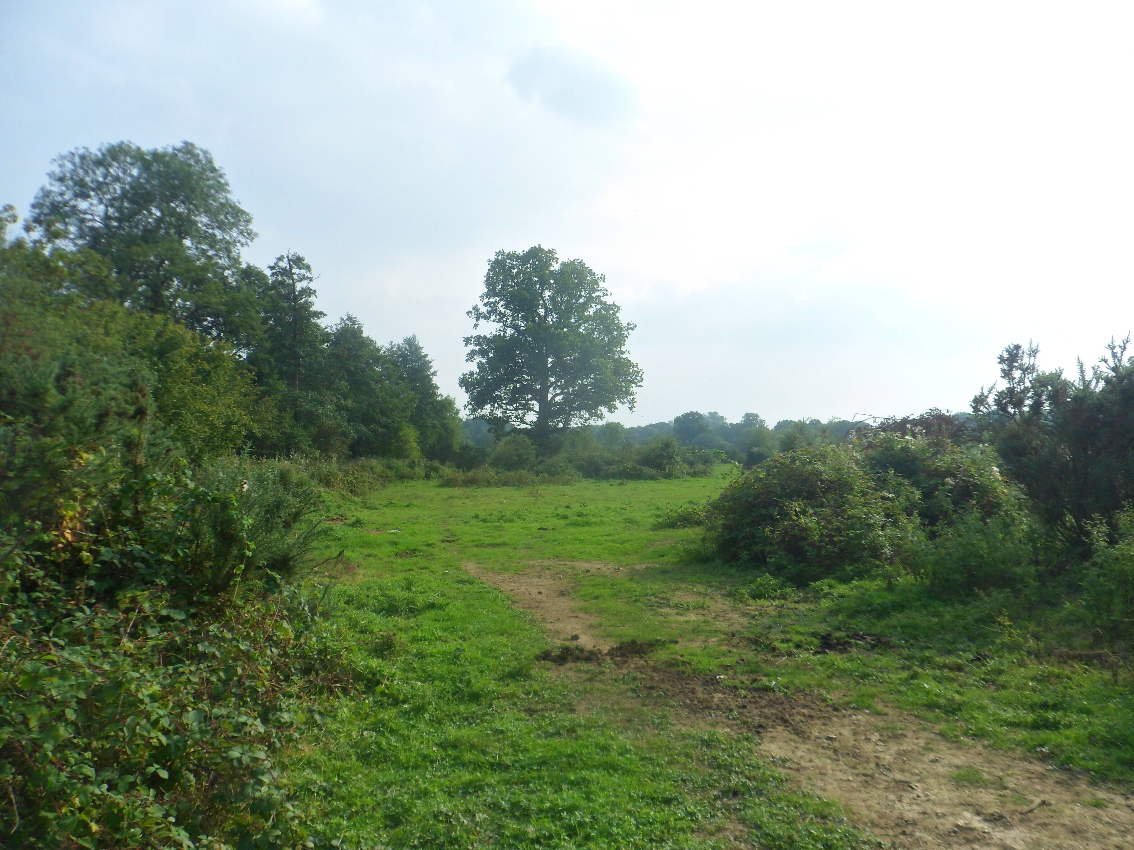 One of a series of photos chronicling the development of Crawley New Town's 14th residential neighbourhood, Forge Wood. This view looks south across land at the northern end of the Phase 1 development area, shortly before work started in the vicinity.
