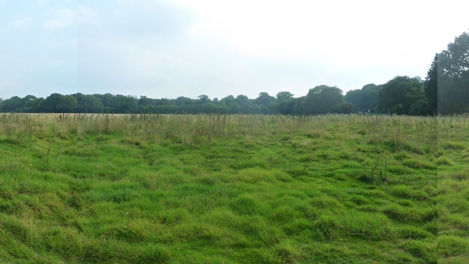A grassy field with trees in the background.