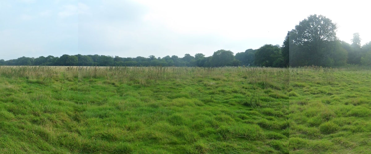 A grassy field with trees in the background.