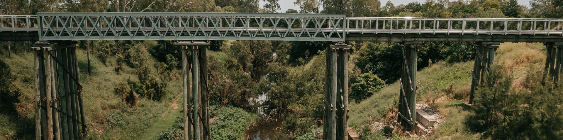 A steel bridge over a river with surrounding greenery and trees.