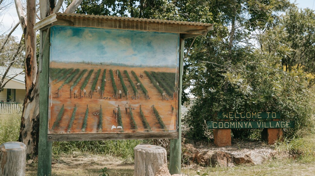 Coominya featuring signage and outdoor art