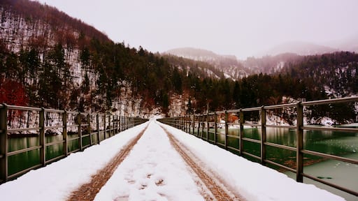 Monti Verzegnis e Valcalda (Q49968060)