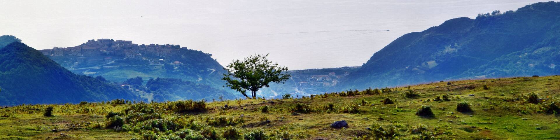 This is a photo of a monument which is part of cultural heritage of Italy. This monument participates in the contest Wiki Loves Monuments Italia 2016. See authorisations.