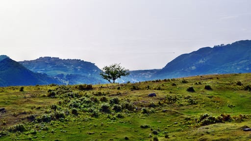 This is a photo of a monument which is part of cultural heritage of Italy. This monument participates in the contest Wiki Loves Monuments Italia 2016. See authorisations.