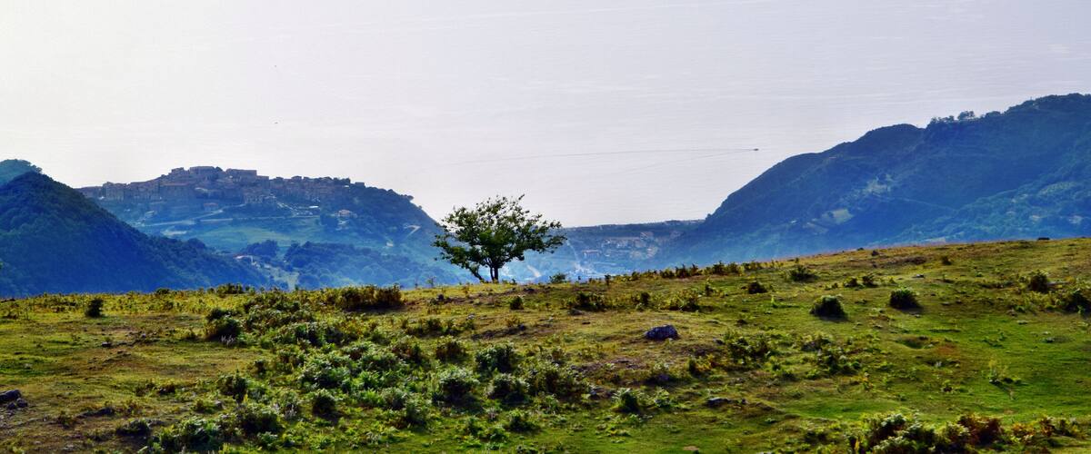 A grassy hill with a lone tree in the center, surrounded by mountains.