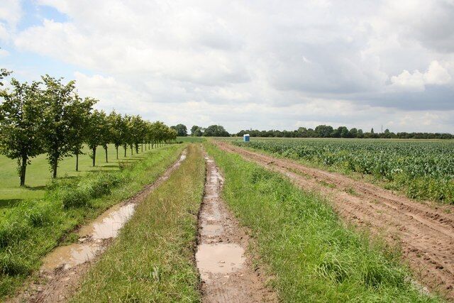 Track by the Grange Looking west from Church Road