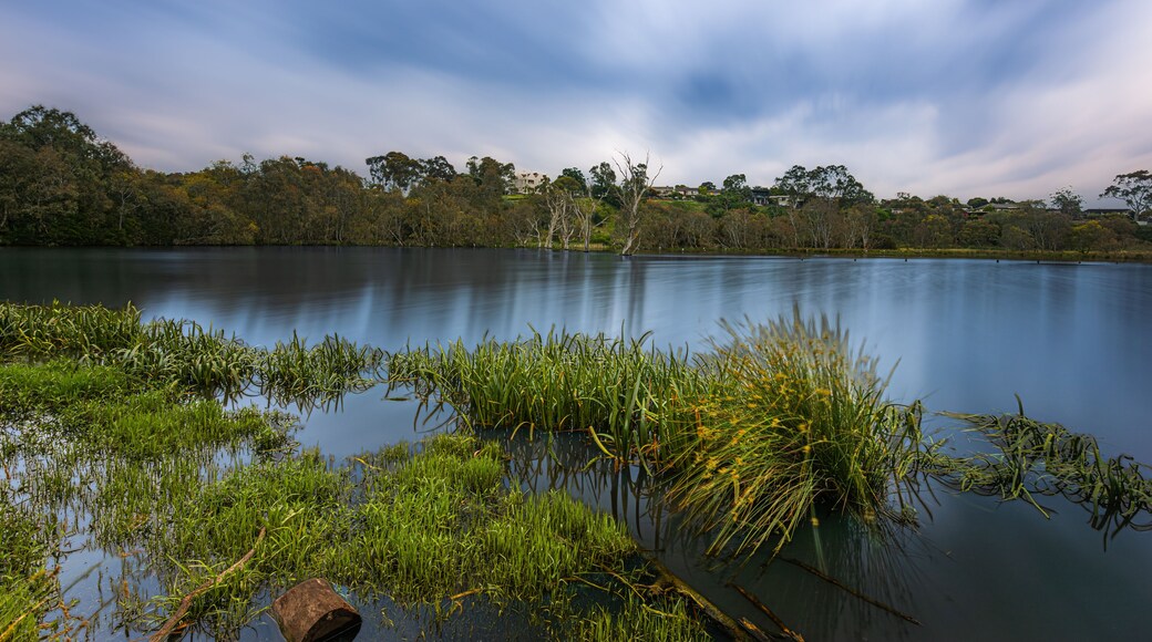 Banyule Flats, Melbourne, Australia, a lake within a suburb