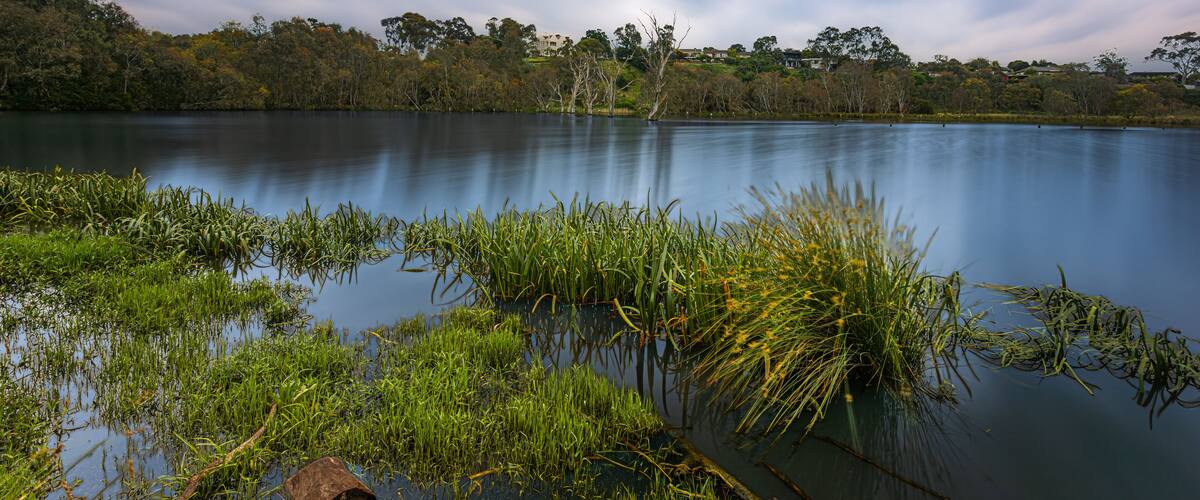 Banyule Flats, Melbourne, Australia, a lake within a suburb