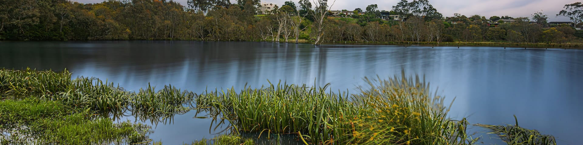 Banyule Flats, Melbourne, Australia, a lake within a suburb