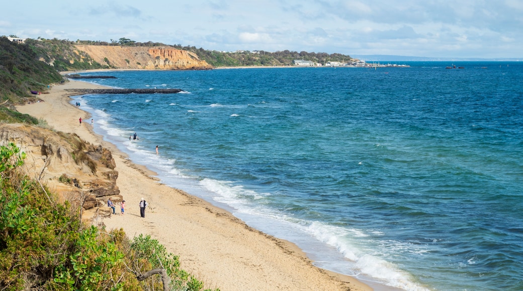Sandringham Beach in the City of Bayside in Melbourne