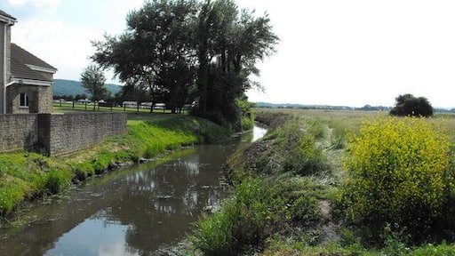West End farm Caravan Park Here at the edge of the park is the Rhyne that runs eventually down to Uphill village