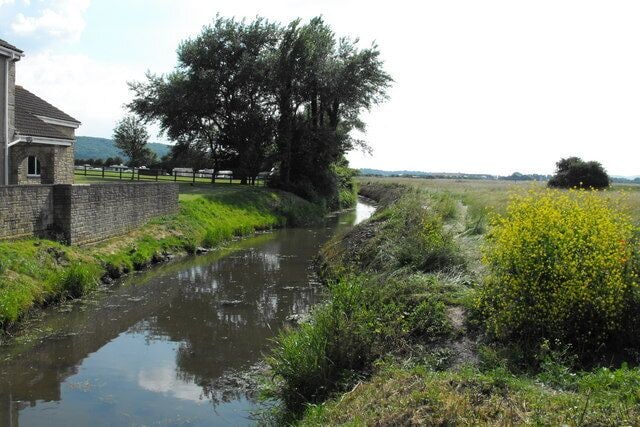 A narrow water channel with a stone wall on one side and a grassy area with yellow flowers on the other.