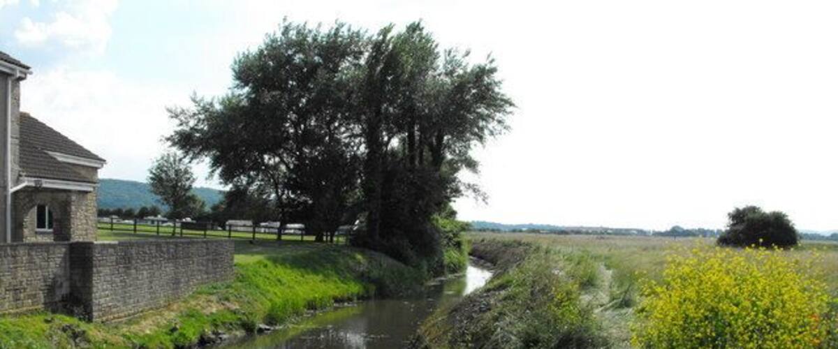 A narrow water channel with a stone wall on one side and a grassy area with yellow flowers on the other.