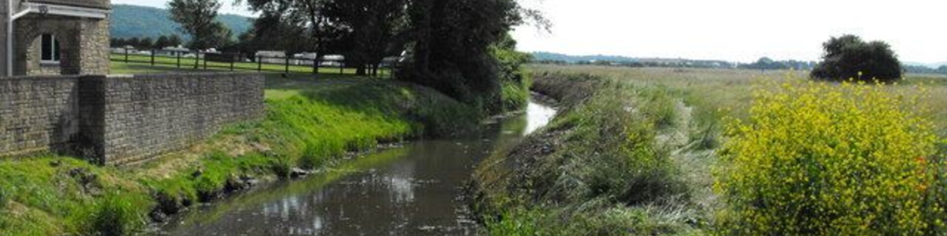 A narrow water channel with a stone wall on one side and a grassy area with yellow flowers on the other.