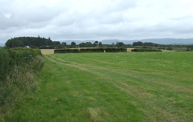 Farmland east of Penuwch, Ceredigion The B4577 is behind the hedge on the left. The Elenydd hills north-east of Tregaron dominate the skyline.