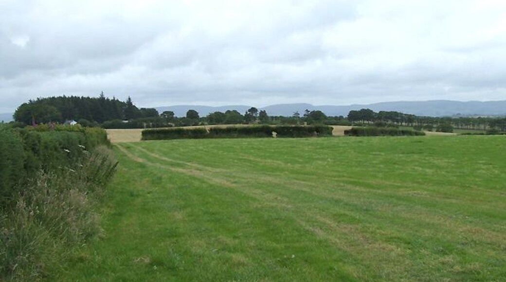 Farmland east of Penuwch, Ceredigion The B4577 is behind the hedge on the left. The Elenydd hills north-east of Tregaron dominate the skyline.